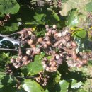 무영농장 이미지