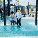 용주면생활체육공원화장실 | 제천 남부생활체육공원 물놀이터에서의 시원한 하루, 이웃과 함께한 특별한 추억💦