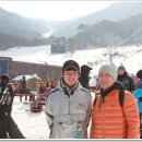 도니야돈 이미지