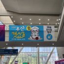인터펫코리아 | 2025 부산 캣쇼 캣쇼백 후기