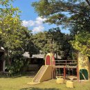 항동시장 | [치앙마이 2주살기] 1월 태국 치앙마이 여행 11일차 | 항동에 머물게 된 건 우연이 아닌 운명일거야🫧