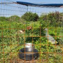 길순농장 이미지