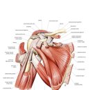 쾌속한의원 이미지