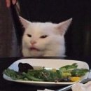 스시긴가