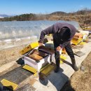 대황축산 이미지