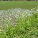 시동리경로당 이미지