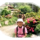 예산읍016 이미지