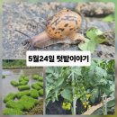 해원농장 이미지