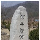 별마로농장 이미지