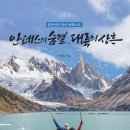 안데스 전자신문