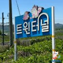 여름방학 어디로 갈까? 밀양 아이와 가볼만한곳 5곳, 부산 근교 당일치기 가족여행 코스