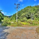 여천1리 마을회관 이미지