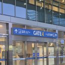 뽑기섬 | [일본] 쓰시마섬(대마도) 패키지 후기😍