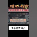 HBM 관련 /반도체관련 주도주는? 예스티!! 이미지