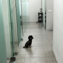 발리노래방건물 이미지