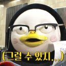 해피버스데이 이미지