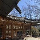 연못이 있는 풍경 | 새소리물소리 연못과 정원 풍경이 예쁜 아이와 가기 좋은 성남 한옥 카페