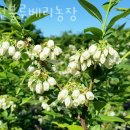 운천농장 이미지