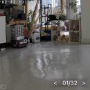 새마음플라워 이미지