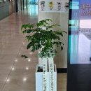 창수 카 매니저 이미지