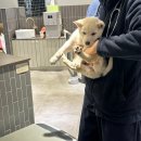 가온동물의료센터 이미지