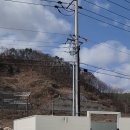 포키즈풀빌라 이미지