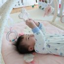 (주)산양종합개발 | 후디스 산양 알아보고 모빌만들기 유익한 아기 성장 마스터 클래스