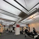 필라핏 156 이미지