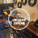 사바나 코쉬카 이미지