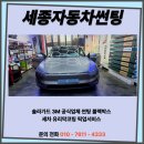 세종썬팅365카틴트솔라가드세종장군점