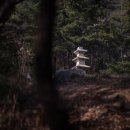 지장사지 이미지