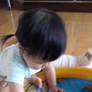 훈이네통구이족발 - 고창군 서문2길 23-8 | 20150609 족발배달 훈이네통구이족발