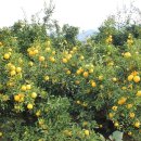 유장농장 이미지