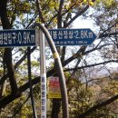 국선도 1 이미지