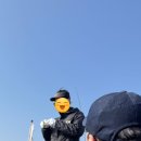 황금피싱 이미지