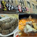 양씨네왕순대 이미지