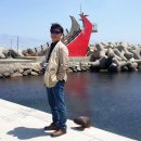 부산 해동용궁사,해운대,동백섬 탐방 이미지