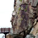 포항시남구호미곶면대동배보건진료소 | 포항 호미곶해안둘레길(18.3km), 해파랑길 15코스·16코스