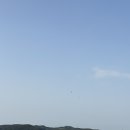 신두리유통