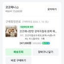 제니엔 코코 펫 이미지