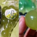 달달과즙