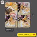 간식주까 | [부천 애견카페 간식주까] 반려견 수제간식 강아지 케이크 간식주까 입체 케이크 후기
