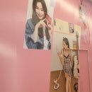 솔브스타필드 이미지