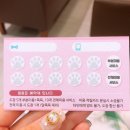 댕댕이 이발소 이미지