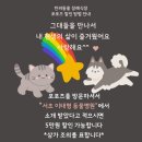 서초 이태형 동물병원 이미지