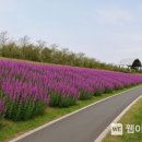 동천 이미지