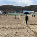 월암농장 이미지