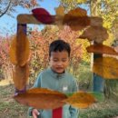 풍납어린이집 이미지