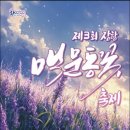 장항전통시장 | 장항 맥문동 꽃 축제 🌸 여름을 수놓는 보랏빛 힐링 여행기