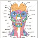 손경린스킨케어